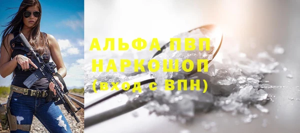 стаф Арсеньев
