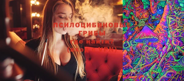 винт Аркадак
