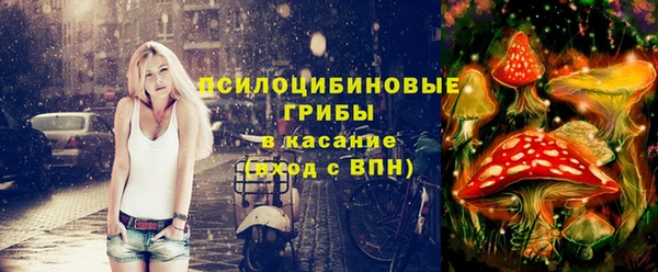 винт Аркадак