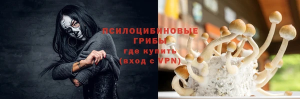 винт Аркадак