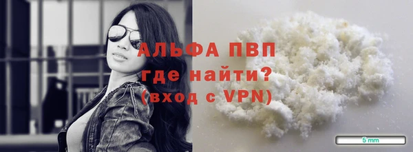 стаф Арсеньев