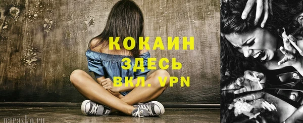 винт Аркадак