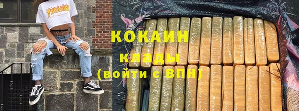 стаф Арсеньев