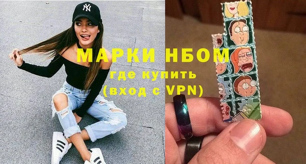 стаф Арсеньев